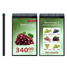 TFT-дисплей MERTECH HL101 Dual 10,1″