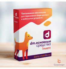 DM.Основные средства: DM.Invent